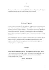 Turkija per turizmo prizmę 8 puslapis