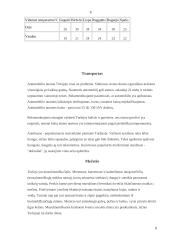 Turkija per turizmo prizmę 9 puslapis