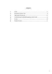 Turtinė nelygybė pasaulyje ir šalyse 2 puslapis