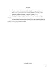 Turtinė nelygybė pasaulyje ir šalyse 10 puslapis