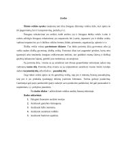 Ūkinės veiklos finansų sektoriaus analizė 2 puslapis