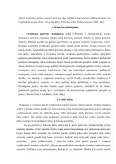 Ūkinės veiklos finansų sektoriaus analizė 4 puslapis