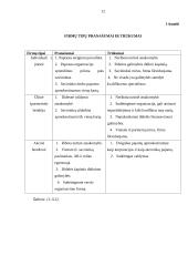 Ūkinės veiklos organizavimas ir įmonių tipai 11 puslapis