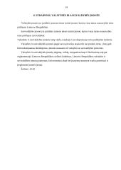 Ūkinės veiklos organizavimas ir įmonių tipai 13 puslapis