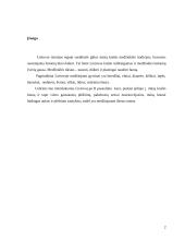 Usūrinis šuo (Nyctereutes procyonuides). Biologija, ekologija, medžiojimo ypatumai 2 puslapis