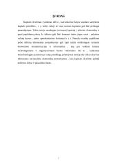 Užsienio investicijos Lietuvoje ir kitose šalyse 2 puslapis