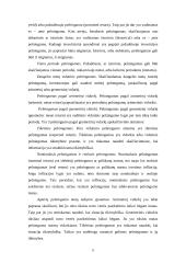 Užsienio investicijos Lietuvoje ir kitose šalyse 11 puslapis