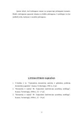 Užsienio investicijos Lietuvoje ir kitose šalyse 13 puslapis