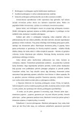 Užsienio investicijos Lietuvoje ir kitose šalyse 10 puslapis