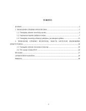 Užsienio investicijų nauda 2 puslapis