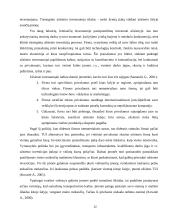 Užsienio investicijų nauda 12 puslapis