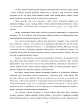 Užsienio investicijų nauda 16 puslapis