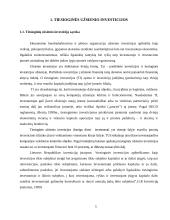 Užsienio investicijų nauda 5 puslapis