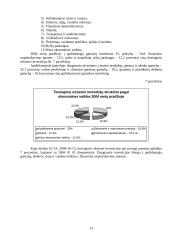 Užsienio investicijų pokyčiai Lietuvoje 13 puslapis