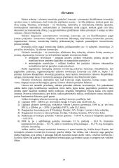 Užsienio investicijų pokyčiai Lietuvoje 14 puslapis