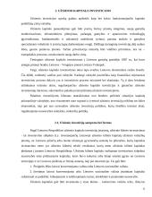 Užsienio investicijų sąlygos ir ekonominis efektyvumas 11 puslapis