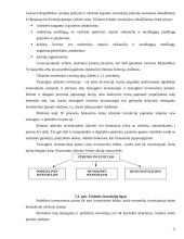 Užsienio investicijų sąlygos ir ekonominis efektyvumas 12 puslapis