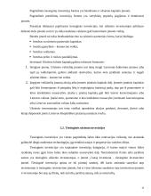 Užsienio investicijų sąlygos ir ekonominis efektyvumas 13 puslapis