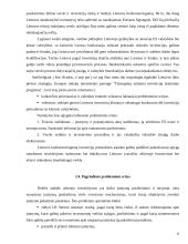 Užsienio investicijų sąlygos ir ekonominis efektyvumas 15 puslapis