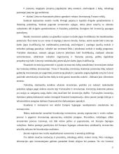 Užsienio investicijų sąlygos ir ekonominis efektyvumas 16 puslapis