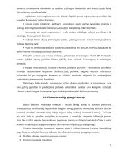 Užsienio investicijų sąlygos ir ekonominis efektyvumas 17 puslapis