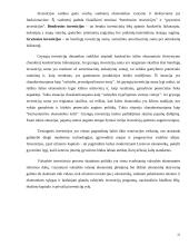 Užsienio investicijų sąlygos ir ekonominis efektyvumas 20 puslapis