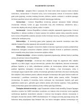 Užsienio investicijų sąlygos ir ekonominis efektyvumas 3 puslapis