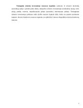 Užsienio investicijų sąlygos ir ekonominis efektyvumas 5 puslapis