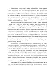 Užsienio prekybos politikos tarifinių priemonių sistema 11 puslapis