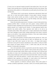 Užsienio prekybos politikos tarifinių priemonių sistema 12 puslapis