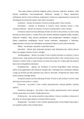 Užsienio prekybos politikos tarifinių priemonių sistema 14 puslapis