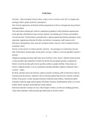 Užsienio turistų požiūris į Lietuvą 2 puslapis