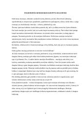 Užsienio turistų požiūris į Lietuvą 3 puslapis