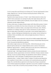 Užsienio turistų požiūris į Lietuvą 4 puslapis