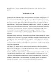 Užsienio turistų požiūris į Lietuvą 5 puslapis