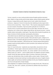 Užsienio turistų požiūris į Lietuvą 7 puslapis