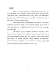 Vadyba senovės civilizacijose 3 puslapis