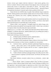 Vadybinė mintis senuosiuose rašytiniuose šaltiniuose 14 puslapis