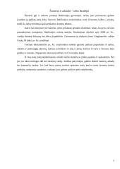 Vadybinė mintis senuosiuose rašytiniuose šaltiniuose 5 puslapis