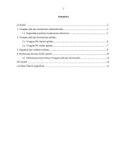 Vadybinės veiklos analizė: Visagino policijos komisariatas 2 puslapis