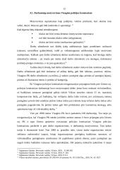 Vadybinės veiklos analizė: Visagino policijos komisariatas 12 puslapis