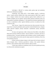 Vadybinės veiklos analizė: Visagino policijos komisariatas 14 puslapis