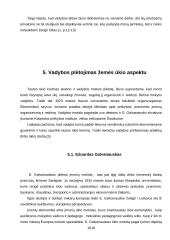 Vadybos atsiradimo tendencijos Lietuvoje 13 puslapis