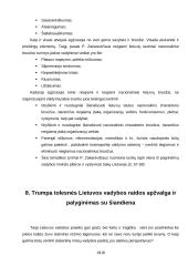 Vadybos atsiradimo tendencijos Lietuvoje 16 puslapis