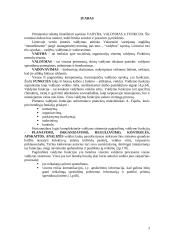 Vadybos bei valdymo funkcijos 3 puslapis