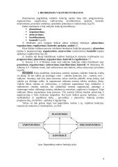 Vadybos bei valdymo funkcijos 4 puslapis