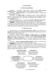 Vadybos bei valdymo funkcijos 5 puslapis