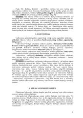 Vadybos bei valdymo funkcijos 8 puslapis