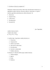 Vadybos funkcijų samprata 4 puslapis