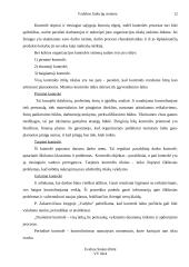 Vadybos funkcijų sistema 12 puslapis